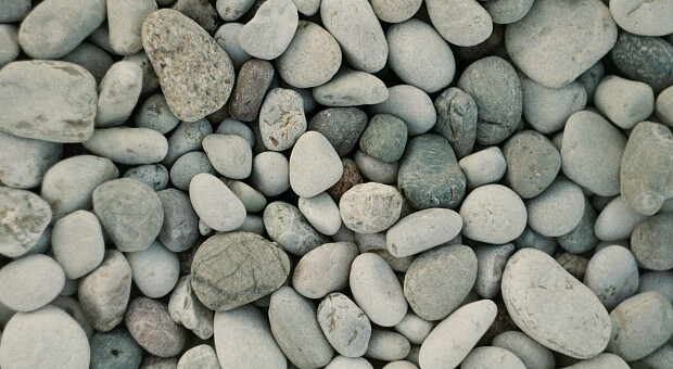 Что может испортить отпуск