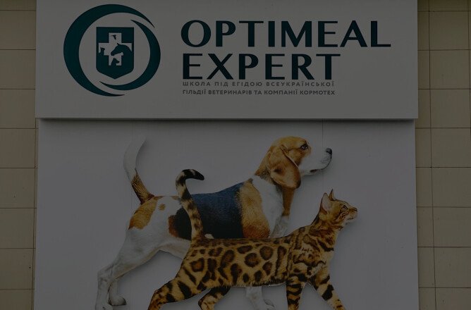 OptiMeal Expert
