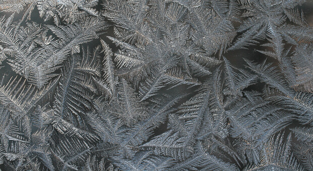 Косметика от мороза. Топ-5 восстанавливающих кремов