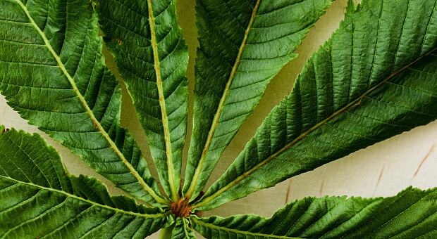 Карта метро Киева. Топ-5 самых красивых станций