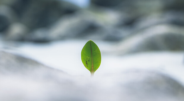 Как не сдаться, когда заболел раком, и победить болезнь