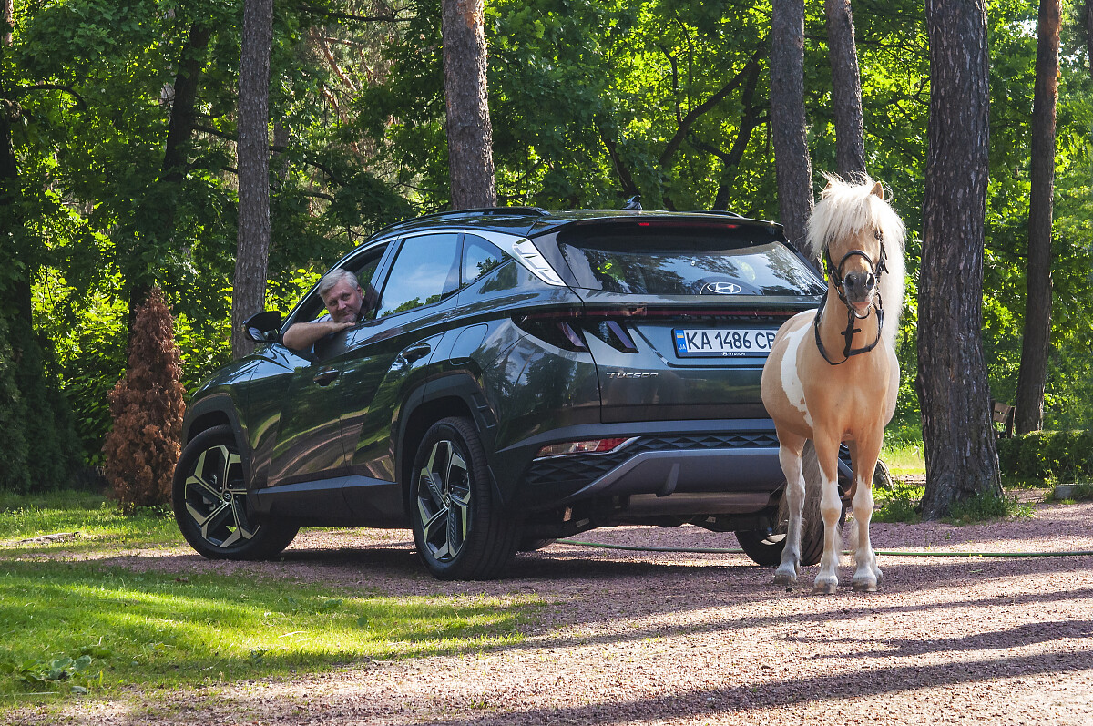 Тест-драйв Hyundai Tucson Hybrid: фото, видео, характеристики, цены,  комплектации