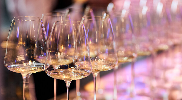 Love & Champagne: B Boutique Bar презентував нову карту нішевого шампанського