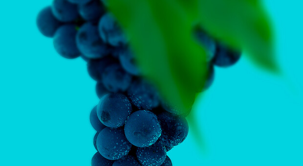 Найкорисніші фрукти вересня