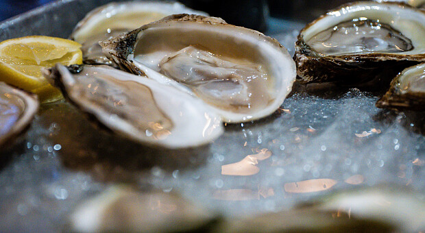 З лимоном чи білим вином. Як і з чим їсти устриці