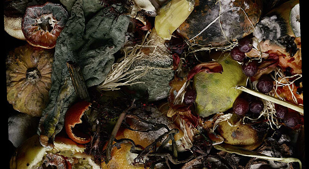 Як зробити парфуми зі сміття. Новий аромат I Am Trash