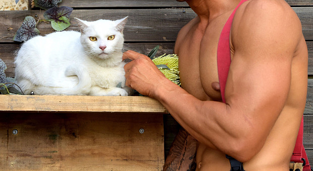 Котики і пожежники: календар Firefighters Calendar