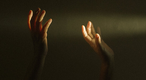 Жертвы COVID-19. Принцесса Мария Тереза и актер «Крокодила Данди» Марк Блум