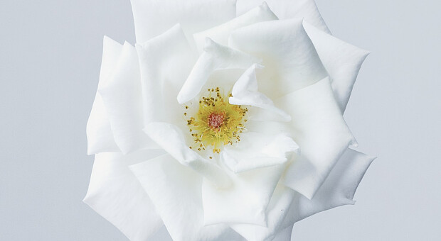 Краща косметика травня. Топ-5 засобів