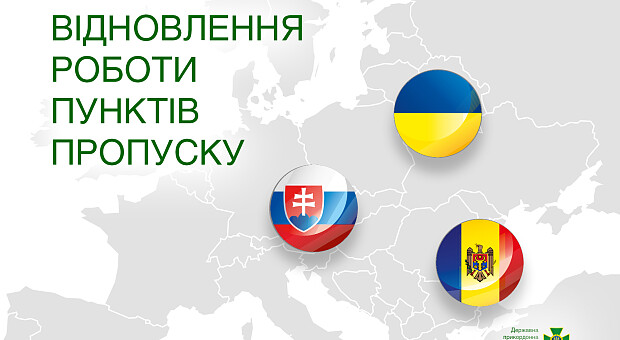 Які пункти пропуску працюють на кордоні України. Новини на 1 червня