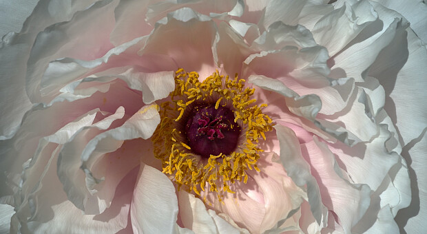 Краща косметика червня. Топ-5 засобів