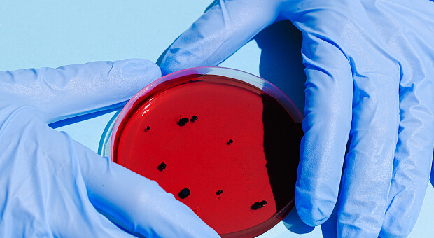 Сколько стоит тест на коронавирус