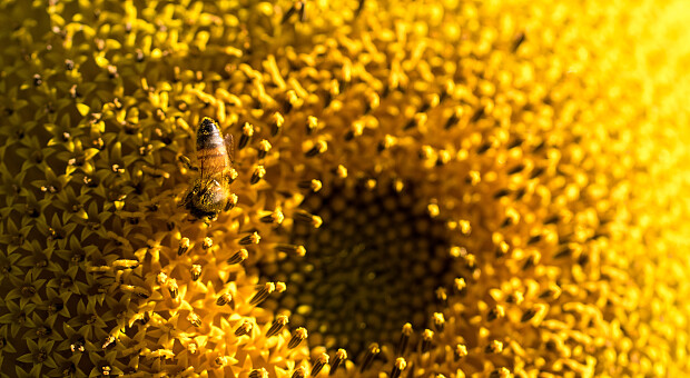Лучшая косметика августа. Топ-5 средств